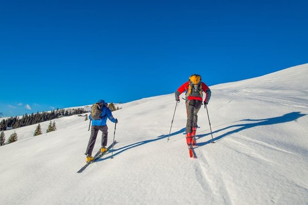 Quels chalets dans les Pyrénées offrent des randonnées guidées avec des accompagnateurs en montagne?